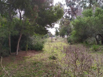 VENTA, Chacra en Punta Indio con casa a demoler. con pileta