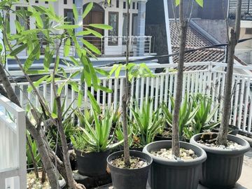 Rumah Impian Di Jakasetia Bekasi Selatan Akses Mudah Ke Tol LRT