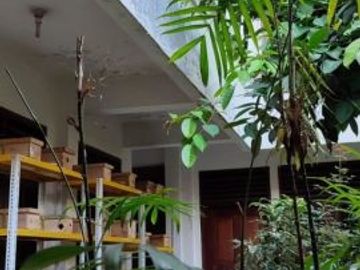 Rumah besar cocok untuk kantor dan kostan jl surya Sumantri sukajadi Bandung
