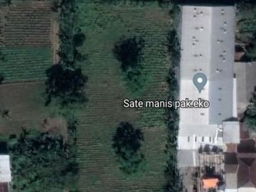 DIJUAL MURAH TANAH STRATEGIS PINGGIR JALAN LUAS 4000 DIENG ATAS