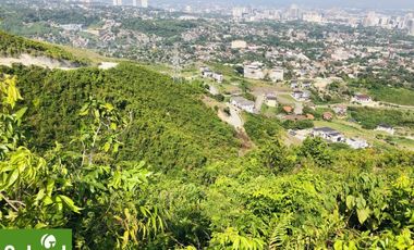 355 sqm Lot for Sale in Monterrazas De Cebu, near Entrance