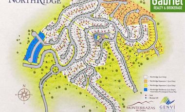 355 sqm Lot for Sale in Monterrazas De Cebu, near Entrance