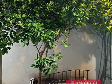 NUEVO VALOR  Casa sobre lote propio en Caseros. APTA CREDITO HIPOTECARIO.