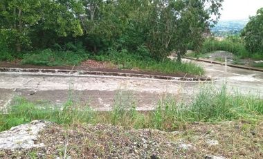 160 Sqm Subdivision Lot for Sale in Bulacao Talisay Cebu City