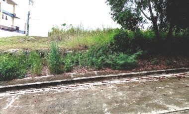 160 Sqm Subdivision Lot for Sale in Bulacao Talisay Cebu City