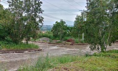 160 Sqm Subdivision Lot for Sale in Bulacao Talisay Cebu City