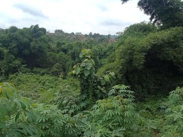 Di jual : 1 Ha Tanah Kebun Strategis Mainroad Cikalong Wetan, Bandung Barat.