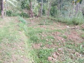 Tanah kemuning ngargoyoso 2200m 300jt area wisata