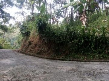 Tanah kemuning ngargoyoso 2200m 300jt area wisata
