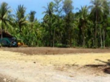 Tanah Pekarangan Utara Yonif 407 Tegal SHM Pecah Unit Ideal Bangun