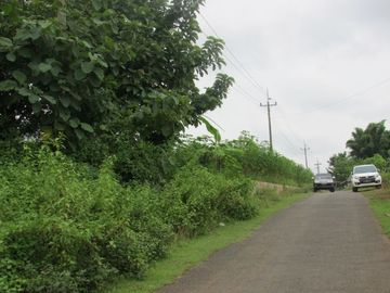 Tanah SIAP BANGUN di Mangunharjo. Cocok untuk perumahan