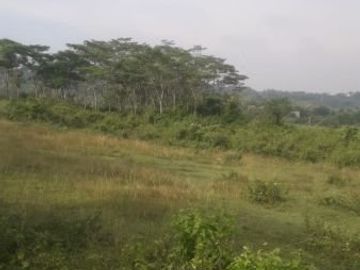 Tanah SIAP BANGUN di Mangunharjo. Cocok untuk perumahan