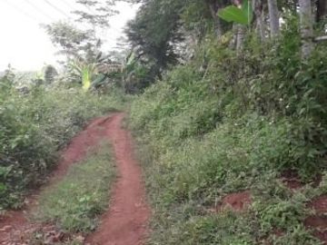 Tanah SIAP BANGUN di Mangunharjo. Cocok untuk perumahan