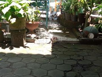 Nego Sampe Jadi Kost Dijual Jogja Exclusive 18kt 18km Condongcatur dkt UPN,Amikom,FE UII