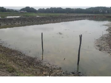 camaronera de venta  en san vicente