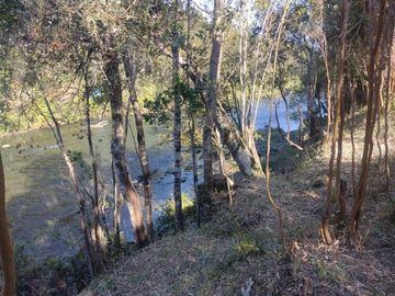 Sitio en Venta en Saltos de Nilahue