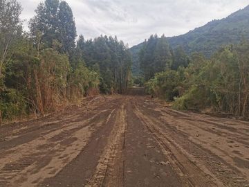 Sitio en Venta en Saltos de Nilahue