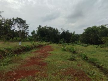 INVESTASI TANAH KAVLING DI WONOGIRI PASTI UNTUNG