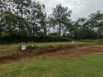 INVESTASI TANAH KAVLING DI WONOGIRI PASTI UNTUNG