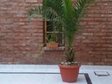 VENTA DEPTO 1 HAB c/PATIO en STA GENOVEVA.