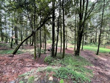 VENTA CASA EN SAN SIMON VALLE DE BRAVO -  CASA CUMBRE