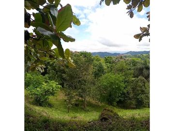 Se vende cabaña con (1hectarea) nunca antes vista