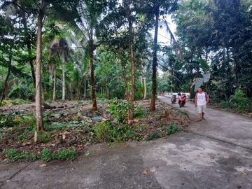 Area Timur Bandara YIA, Pas Buat Hunian pun Kost-an