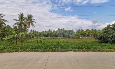 Land for sale