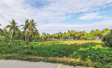 Land for sale
