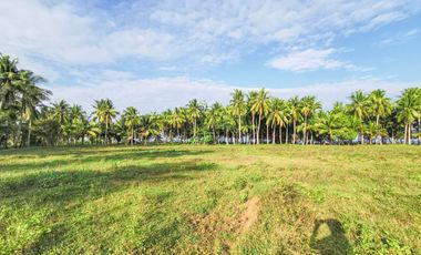 Land for sale