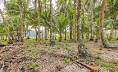 Land for sale