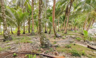 Land for sale