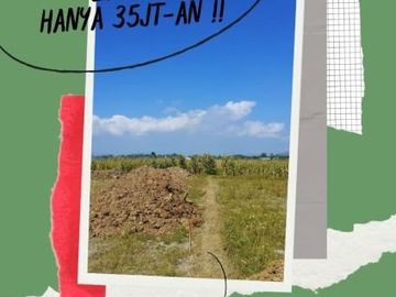 Promo Kemerdekaan, Tanah di Jenggawah Jember Hanya 35jt
