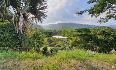 Overlooking 216 SQM Residential Lot for Sale in Greenwoods Subdivision Near Talamban Cebu City