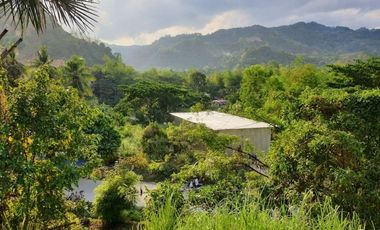 Overlooking 216 SQM Residential Lot for Sale in Greenwoods Subdivision Near Talamban Cebu City