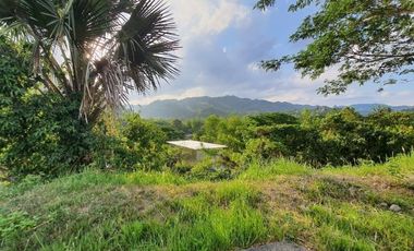 Overlooking 216 SQM Residential Lot for Sale in Greenwoods Subdivision Near Talamban Cebu City