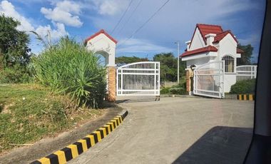 Overlooking 216 SQM Residential Lot for Sale in Greenwoods Subdivision Near Talamban Cebu City