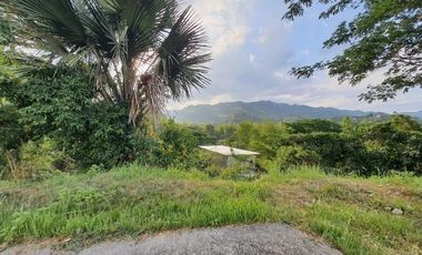 Overlooking 216 SQM Residential Lot for Sale in Greenwoods Subdivision Near Talamban Cebu City