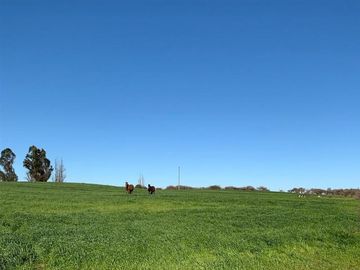 Agrícola en Venta en Parral