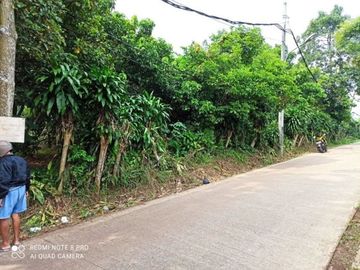 [2D701E] Land for sale 1278m2 - Cisauk, Tangerang
