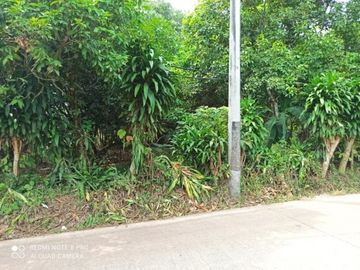 [2D701E] Land for sale 1278m2 - Cisauk, Tangerang