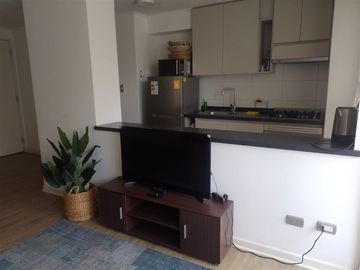 hermoso Departamento en venta de 2D-B2-E1-1B en Viña del Mar