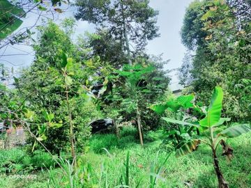 Tanah kemuning ada aliran jernih 900m 1.125M nego