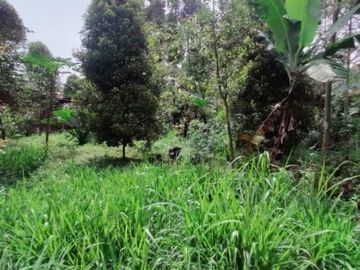 Tanah kemuning ada aliran jernih 900m 1.125M nego