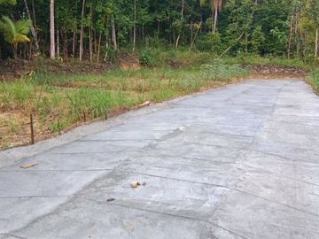 Tanah Sedayu Indah Area Pemukiman Baru Jogja Barat