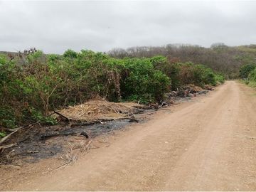 terreno agrícola urbano de venta charapoto Manabí