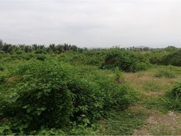 terreno agrícola urbano de venta charapoto Manabí