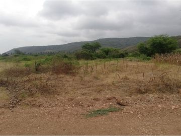 terreno agrícola urbano de venta charapoto Manabí