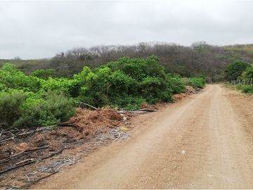 terreno agrícola urbano de venta charapoto Manabí