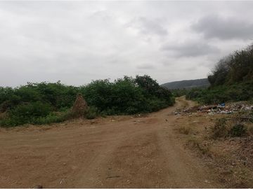terreno agrícola urbano de venta charapoto Manabí